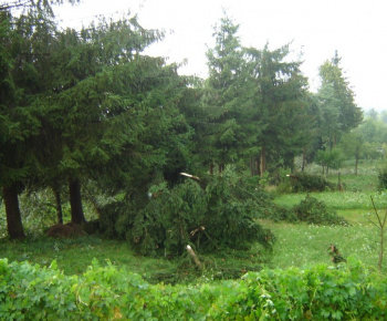 Veterná búrka