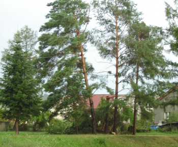 Veterná búrka