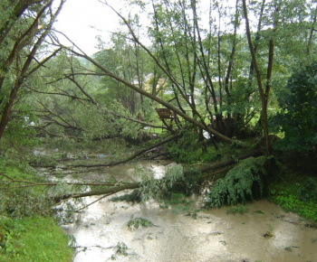 Veterná búrka