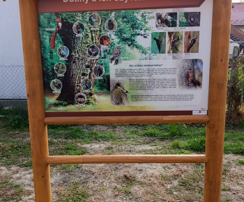 Aktuality / Otvorenie Centra prírodovednej výchovy v Bukovciach - foto