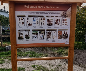 Aktuality / Otvorenie Centra prírodovednej výchovy v Bukovciach - foto